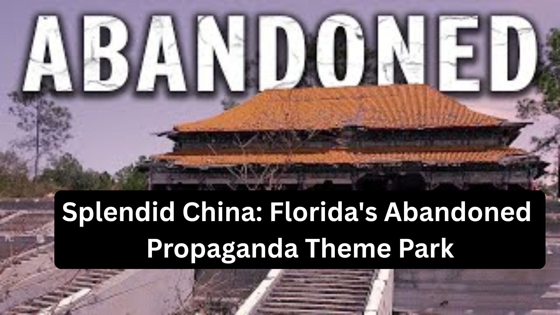 video-section-banner-image